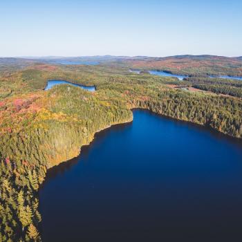 aerial view of lake and large expanse of forest