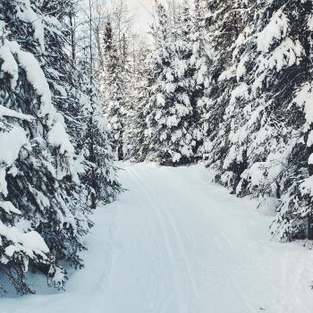 Trails covered in snow