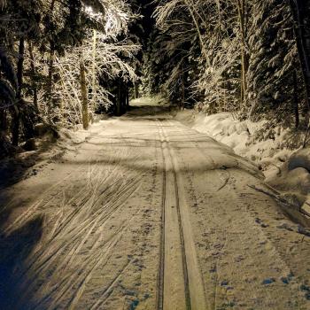 Groomed trails at night