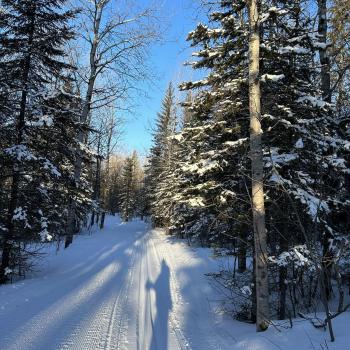 Ski trail in woods