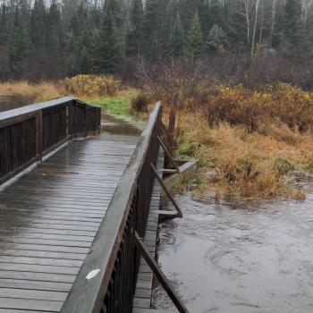 Bridge over river to connect trails