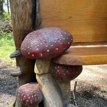 mushroom carving on a trail 