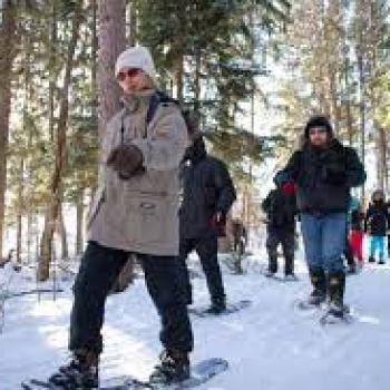 People snowshoeing along trails