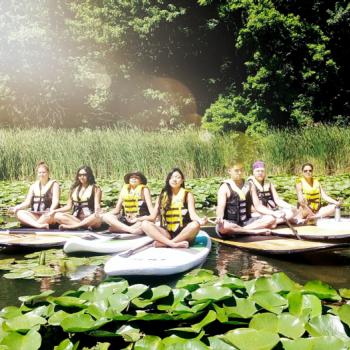 people doing yoga on sup paddleboards among lilies and greenery