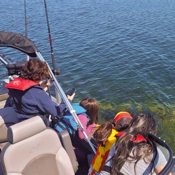 people looking into the water on a boat