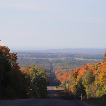 Road and trees running through the island