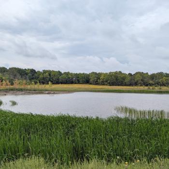 wetlands at Saltfleet Conservation Area rural Hamilton Ontario