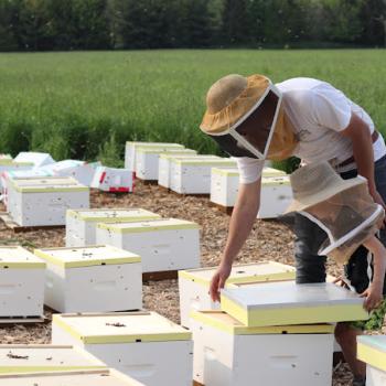 beekeeper at Backed by Bees Burlington Ontario