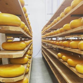 Cheese aging on shelves