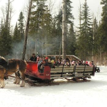 People in a sleigh ride