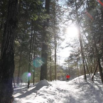 Hiking in the forest