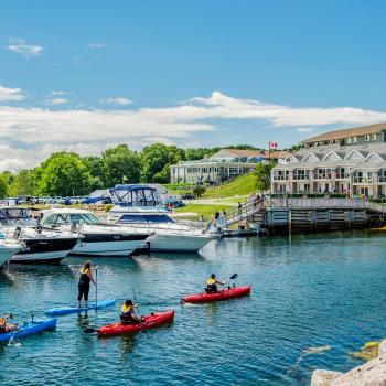 a harbourfront with boats and kayaks leading to the shore