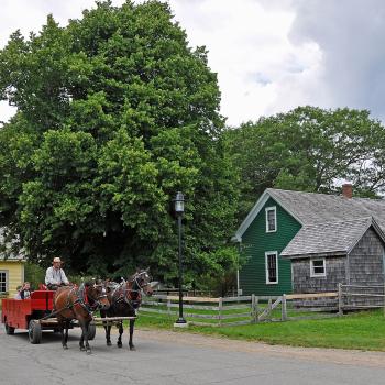 a horse and buggy on the street in sherbrooke village
