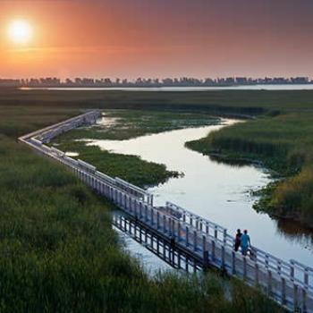 scenic walk in Point Pelee National Park