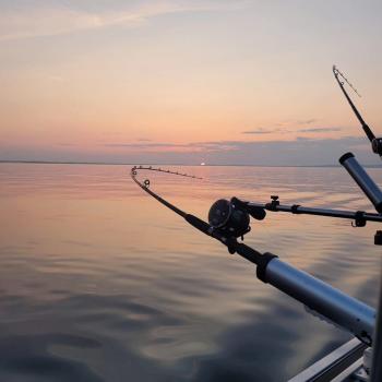 fishing rods in the water at sunset