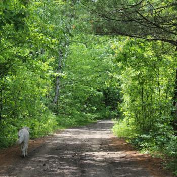 Parry Sound KOA