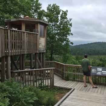 part of viewing deck at Algonquin Park Visitor Centre