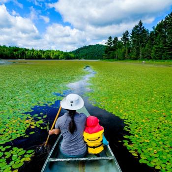 Canoeing on lake with lily pads