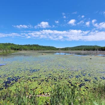 Looking across water