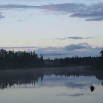 water and trees at dusk